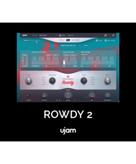UJAM Virtual Bassist Rowdy 2 /MAC Key GLOBAL